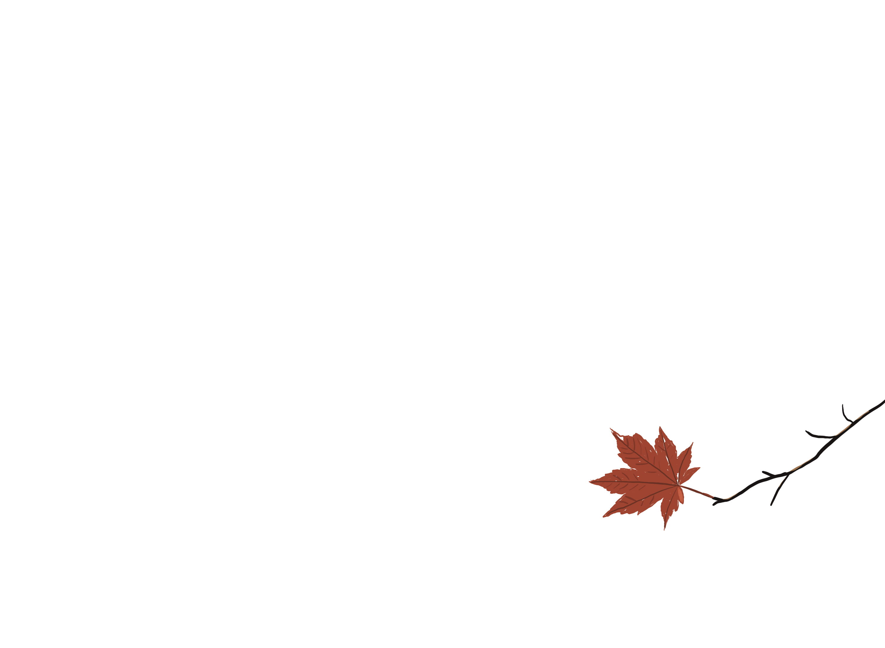 Maple Branch